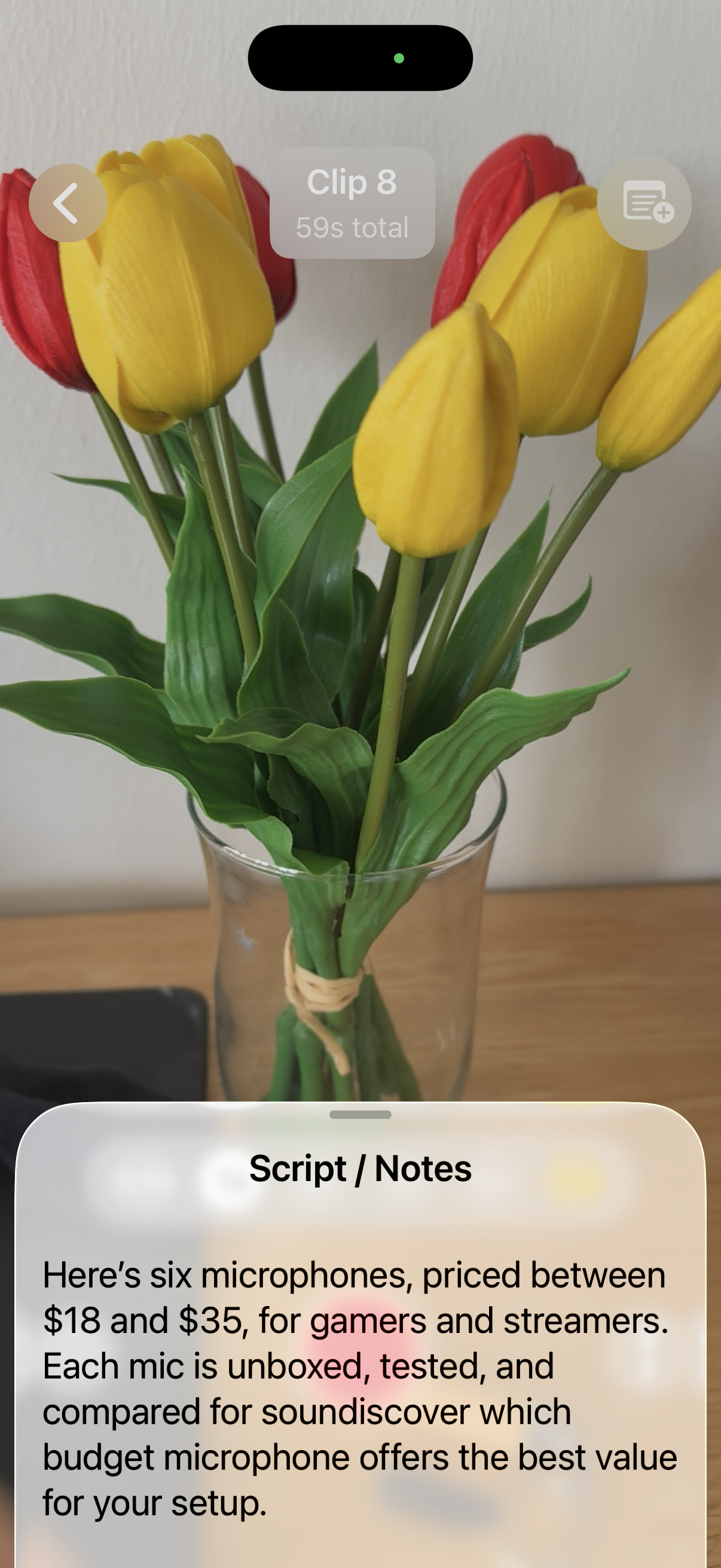 Script overlay on camera view